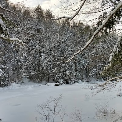 Chabad of Vermont