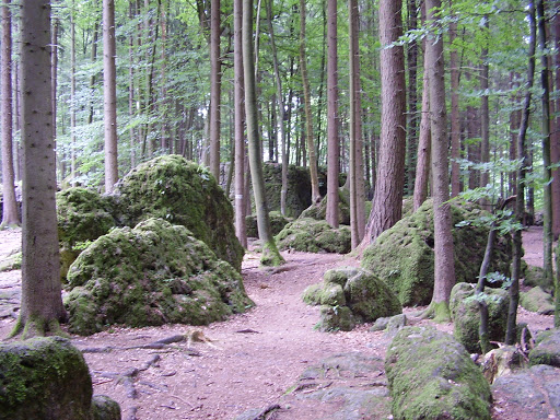 Forest reserve Eibenwald in Gößweinstein - Thumbnail