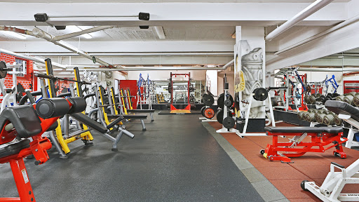 Fitness Gym Freiburg - Thumbnail
