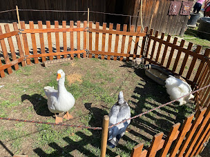 Photo n°27 de La fermette d'Agxence à Charantonnay (Ferme à visiter)