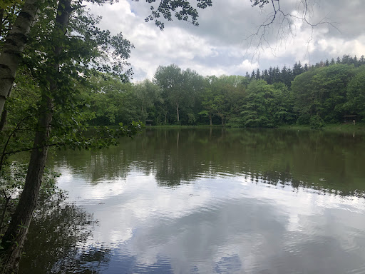 Rastplatz Crawinkel - Visual