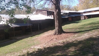Photos of Rock Springs Campground