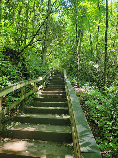 Mingo Falls - Visual