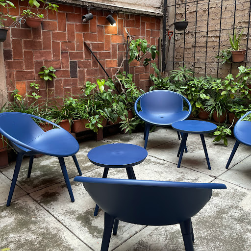 Living - Coyoacán