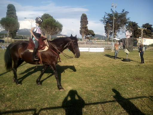 Rugby Rufus San Vincenzo - Thumbnail