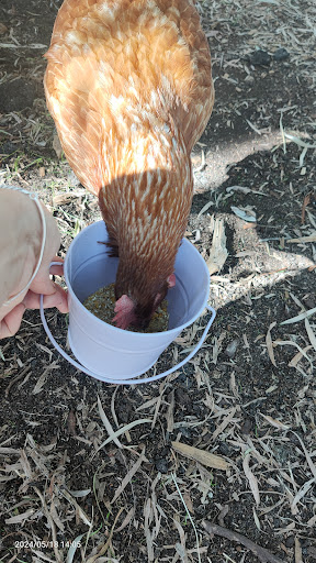 Scoops Farm - Thumbnail
