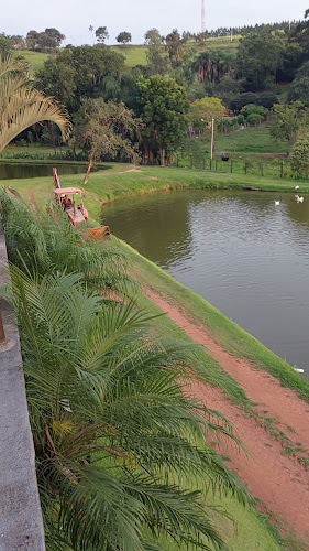Pesk Park São Pedro