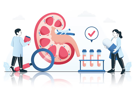 Diabetic nephropathy is a kidney condition that can develop in individuals with long-term diabete… post image