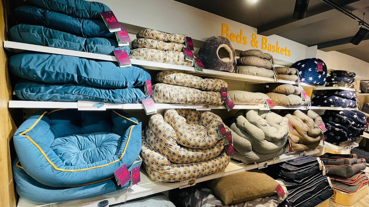 Pets Corner Guildford, Your Best Reviewed Local Pet Shop