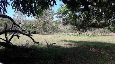 Photos of Bar Los Almendros