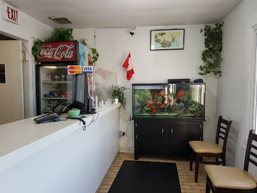 Willie's Chinese Food - Thumbnail