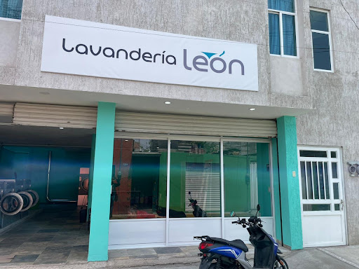 Lavanderia leon - Thumbnail