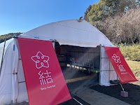 ベリーファーム結