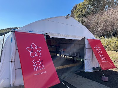 ベリーファーム結