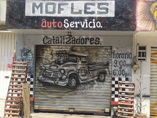 Mofles continental - Thumbnail