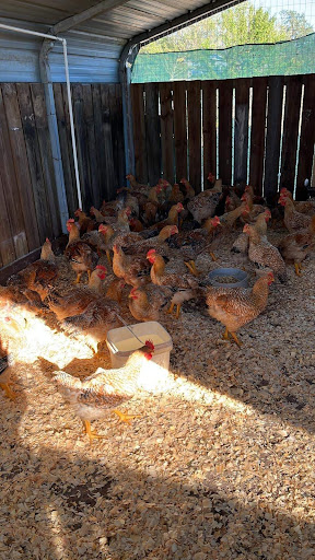 Fox Hollow Farm Store LLC - Thumbnail