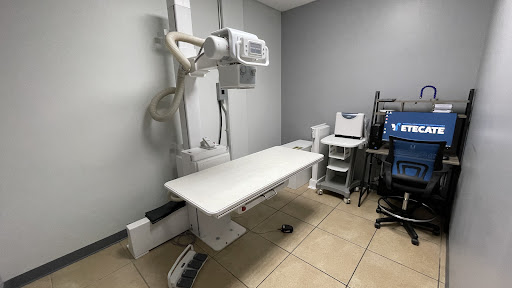 Hospital Veterinario de Especialidad Vetecate