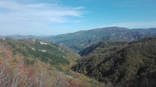 Foreste Casentinesi Vers Toscano - Thumbnail