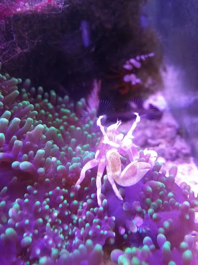aquarium