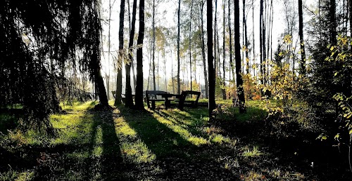 Beržynėlis campsite