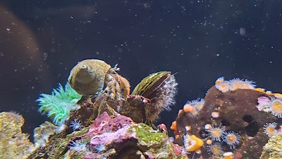 Oregon Coast Aquarium