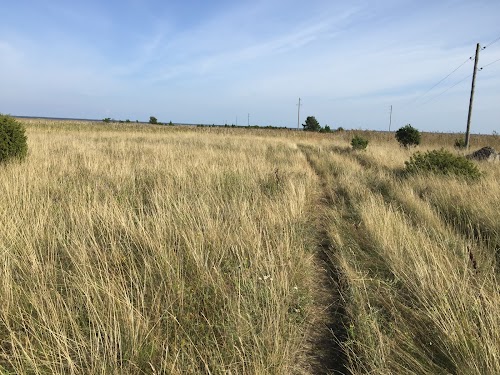 Vilsandi National Park