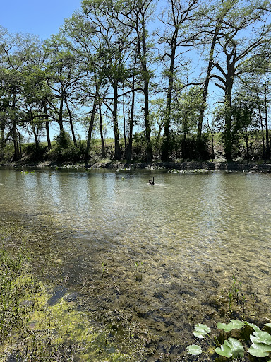 Old River Road RV Resort Kerrville, TX - Thumbnail