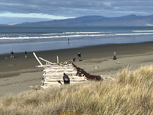 Driftwood hut