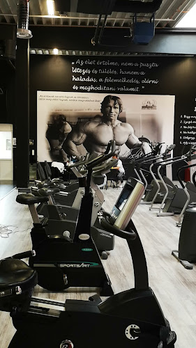Muscle Fit - Gyula