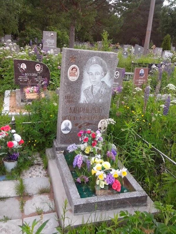 Кладбище илики г ломоносов карта