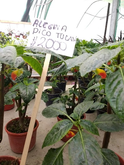 Photos of Agro-Vet