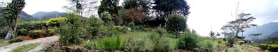 Photos of Katool Oya Farm Resort Holiday Bungalow