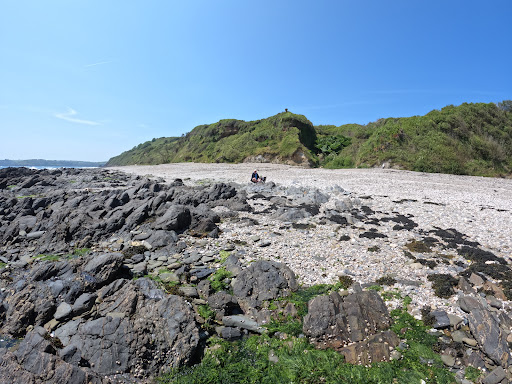 Cows Beach - Visual