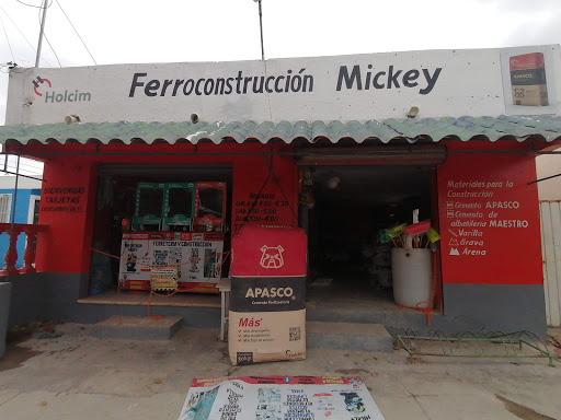Ferrocons Mickey - Visual