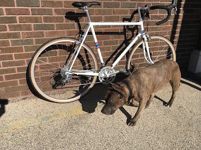 Waterloo Bicycle Works