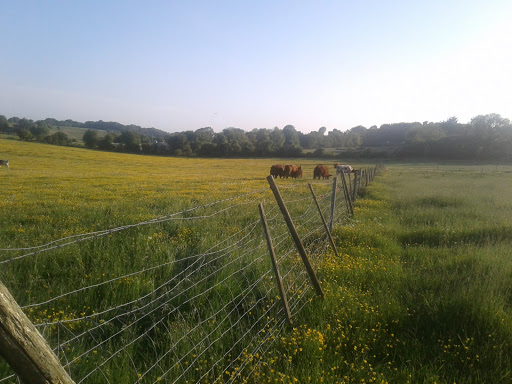 Hill Close - Visual