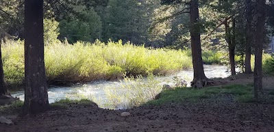 Bloomfield Campground