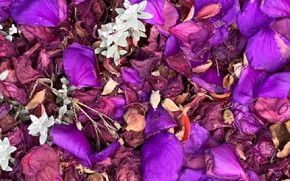 Elizabeth Ariel Clark LMFT