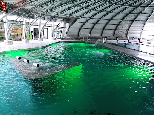 Centre Aqualudique Aquadome Langeac - Thumbnail