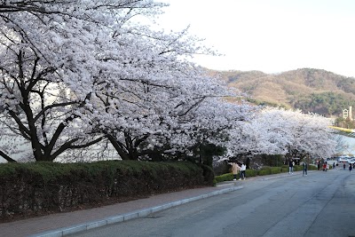 Photos of Dankook University, Cheonan Campus
