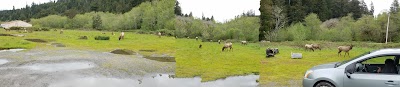 Elk Meadow Turnout