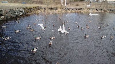 Photos of Korela