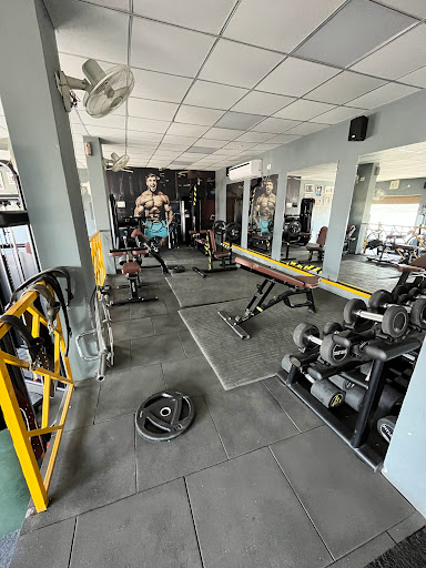 Prime Fitness Gym