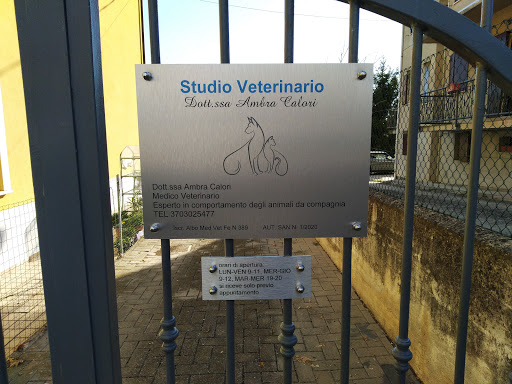 Studio veterinario Dott.ssa Ambra Calori Vigarano Pieve SI RICEVE SOLO PER APPUNTAMENTO - Thumbnail