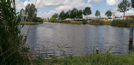 Visvijver Nijverdalseweg - Thumbnail
