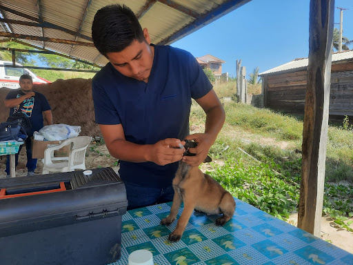 Clinica Veterinaria San Antonio