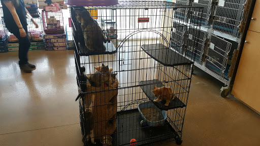 Petsense - Visual
