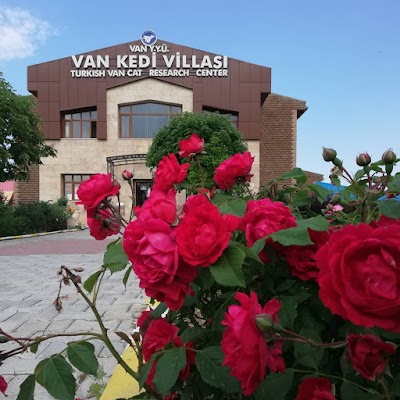 Van kedi villası