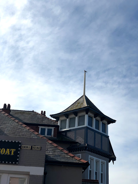 photo-1