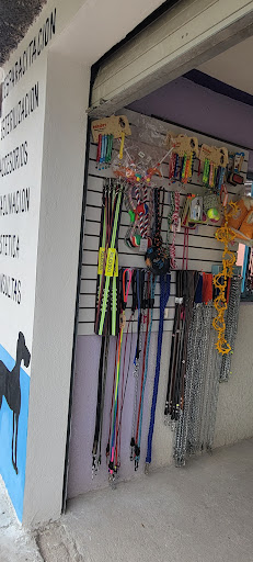 Servicios Veterinarios "ESPÍNOLA" Gallery - Mexico